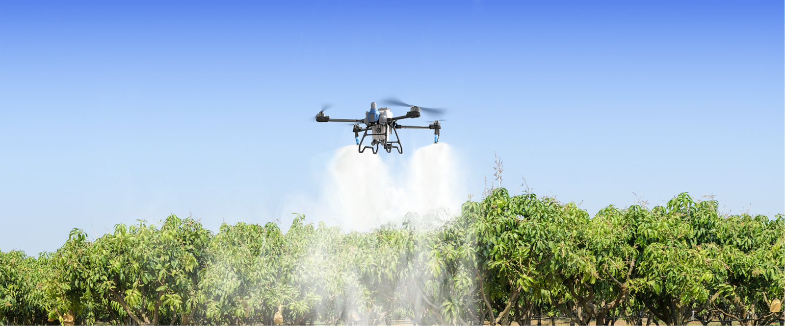 AG Drones EAVISION Services EAVISION AG Drones