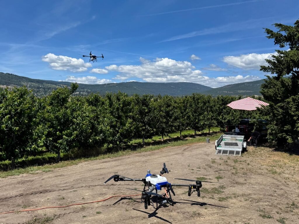 AG Drones aerial services spraying cherries with the J70 and J150