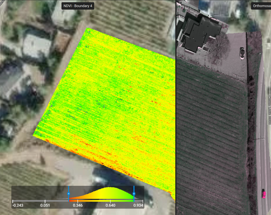 Crop Analysis