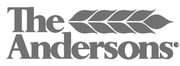 Andersons logo layout (no content)